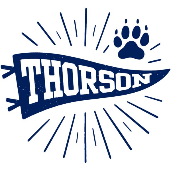 Starburst Pennant Navy Thumbnail